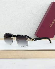 Picture of Cartier Sunglasses _SKUfw77796300fw